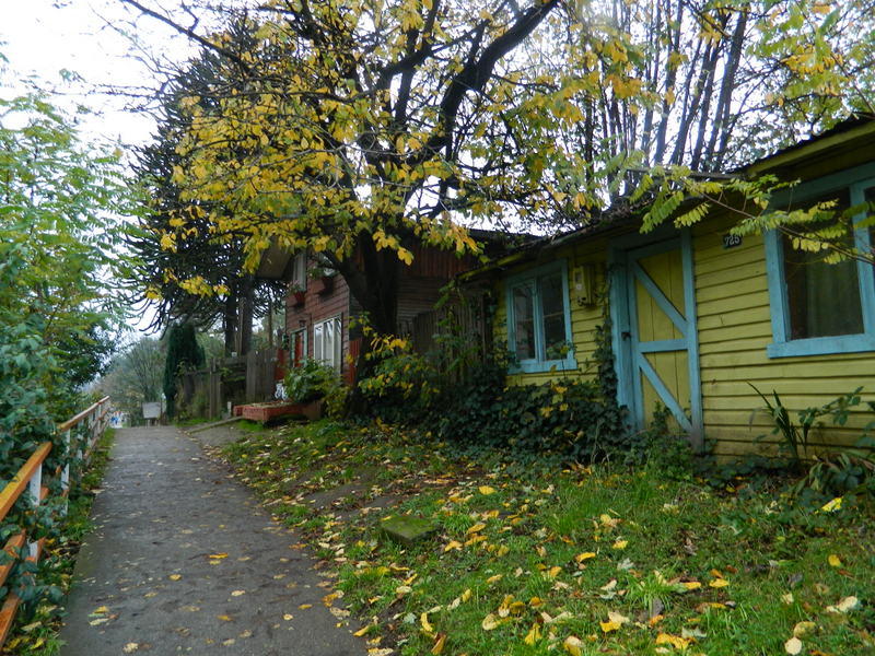 Foto: Curarrehue - Curarrehue (Araucanía), Chile