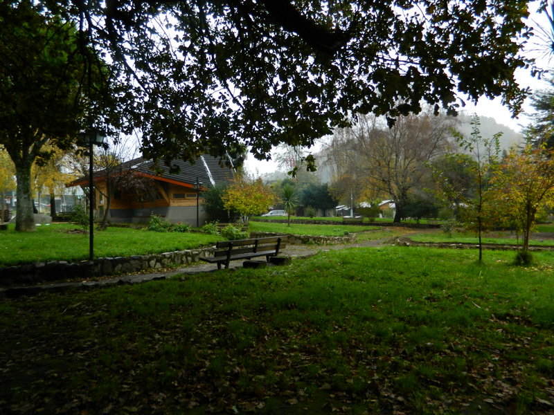 Foto: Curarrehue - Curarrehue (Araucanía), Chile
