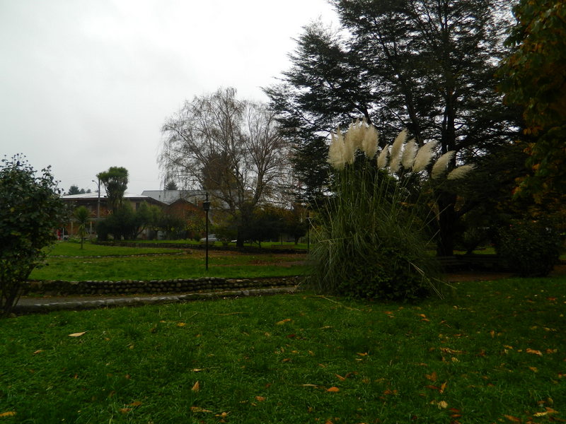 Foto: Curarrehue - Curarrehue (Araucanía), Chile