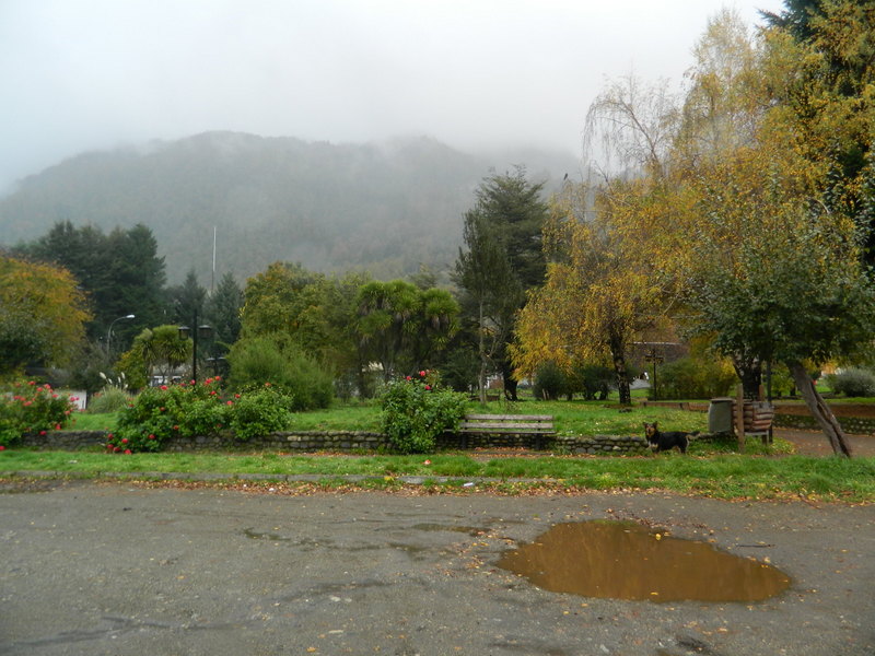 Foto: Curarrehue - Curarrehue (Araucanía), Chile