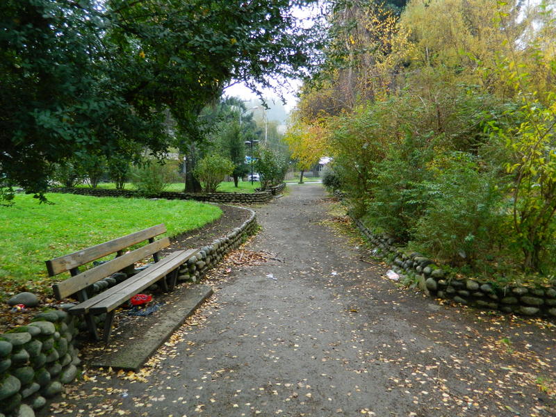 Foto: Curarrehue - Curarrehue (Araucanía), Chile