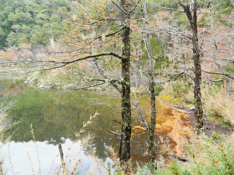 Foto: Pucon - Pucon (Araucanía), Chile