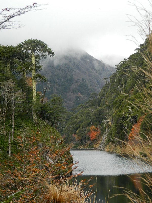 Foto: Pucon - Pucon (Araucanía), Chile