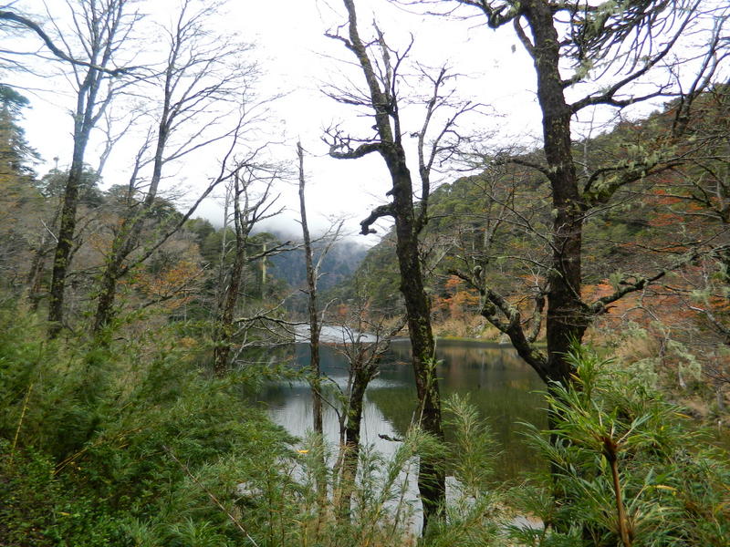 Foto: Pucon - Pucon (Araucanía), Chile