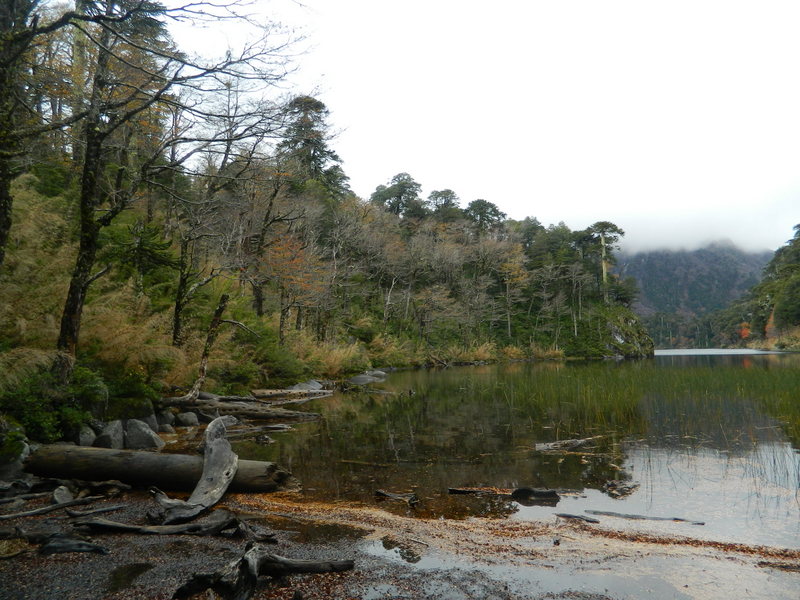 Foto: Pucon - Pucon (Araucanía), Chile