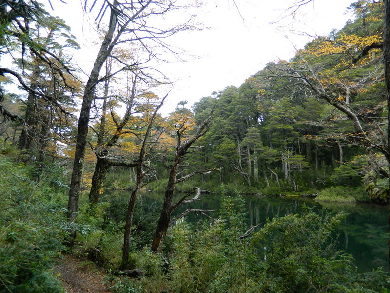 Foto: Pucon - Pucon (Araucanía), Chile