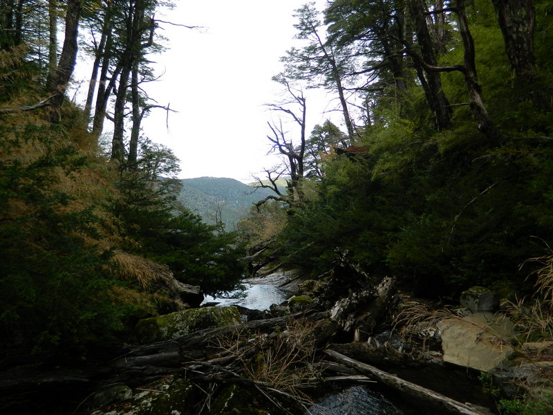 Foto: Pucon - Pucon (Araucanía), Chile