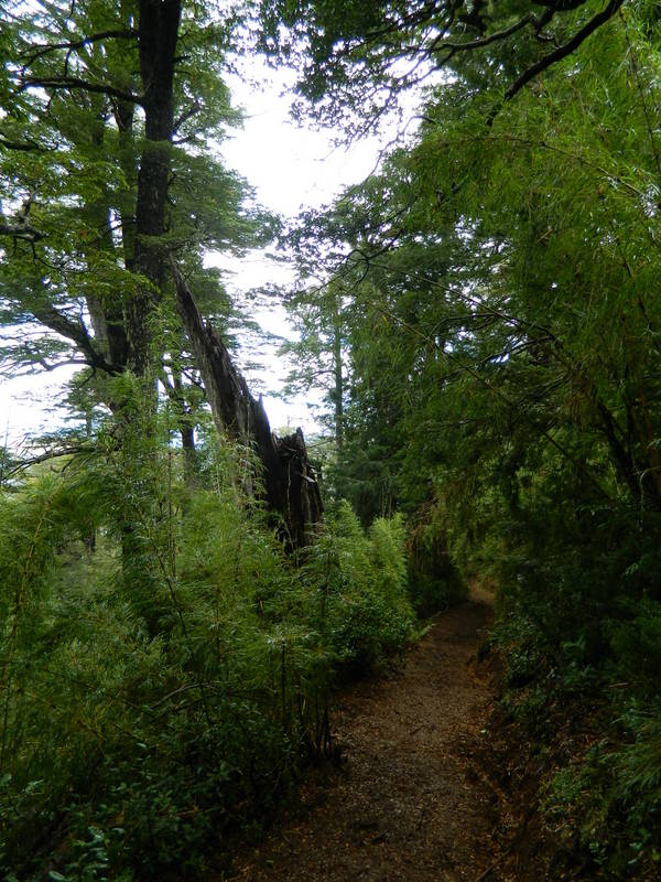 Foto: Pucon - Pucon (Araucanía), Chile