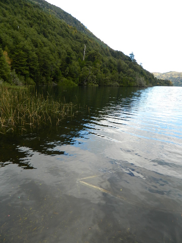 Foto: Pucon - Pucon (Araucanía), Chile