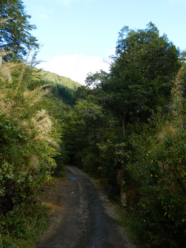 Foto: Pucon - Pucon (Araucanía), Chile