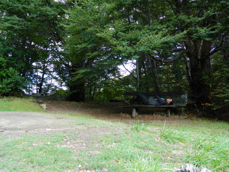 Foto: Pucon - Pucon (Araucanía), Chile