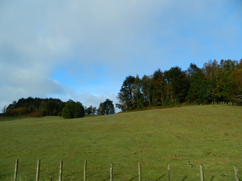 Foto: Coñaripe - Coñaripe (Araucanía), Chile