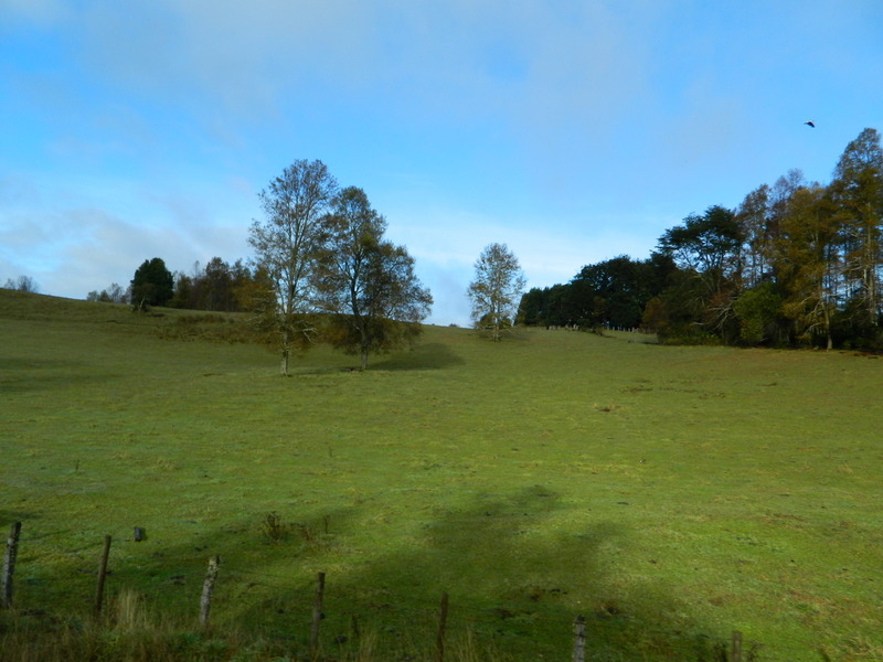 Foto: Coñaripe - Coñaripe (Araucanía), Chile