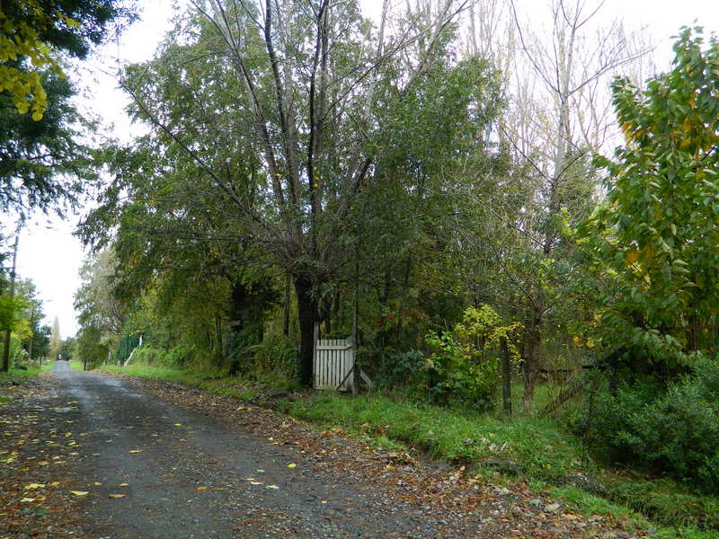 Foto: Coñaripe - Coñaripe (Región de Los Ríos), Chile