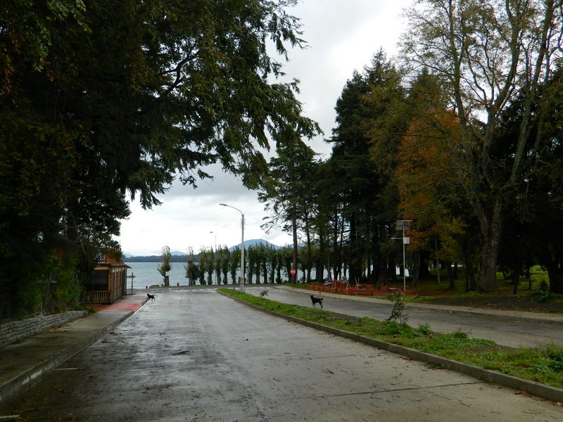 Foto: Coñaripe - Coñaripe (Región de Los Ríos), Chile