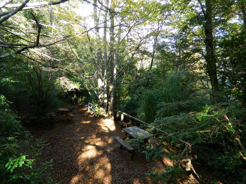 Foto: Pucon - Pucon (Araucanía), Chile