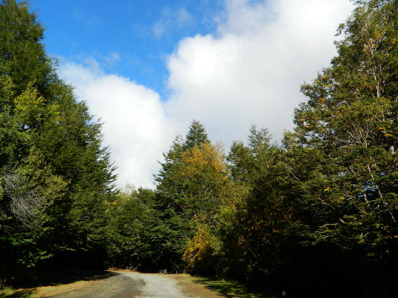 Foto: Pucon - Pucon (Araucanía), Chile