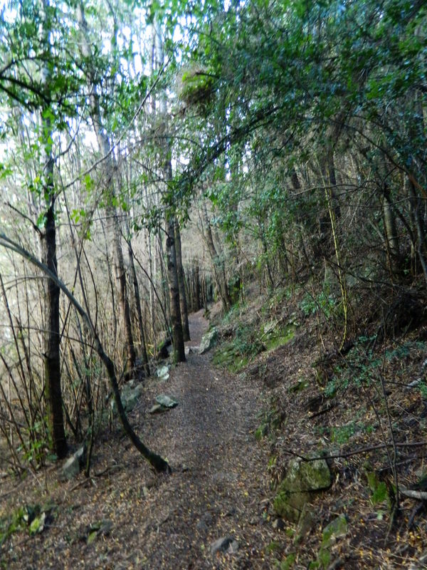 Foto: Pucon - Pucon (Araucanía), Chile