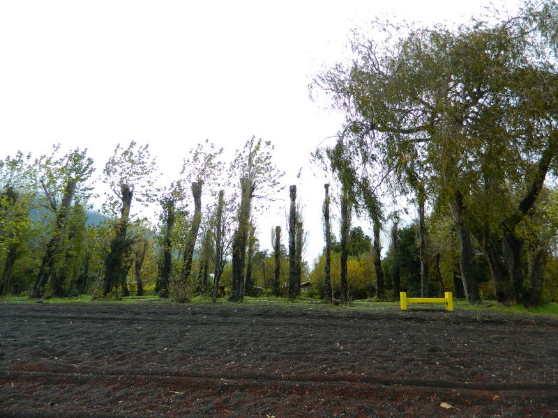 Foto: Coñaripe - Coñaripe (Región de Los Ríos), Chile