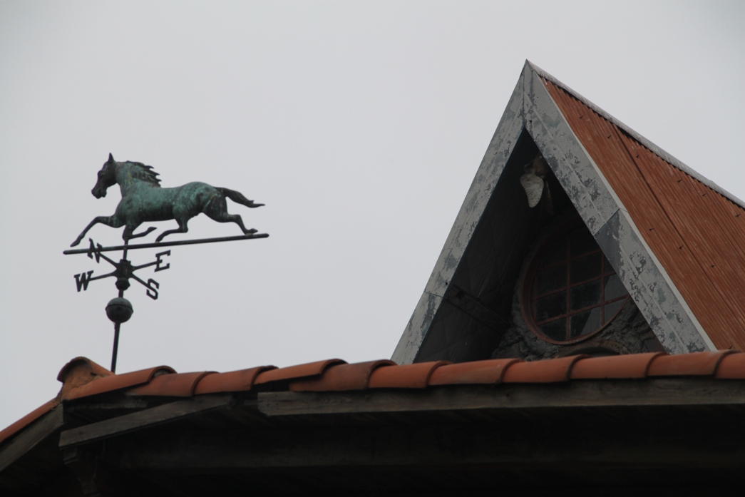 Foto: Campanópolis - González Catán (Buenos Aires), Argentina