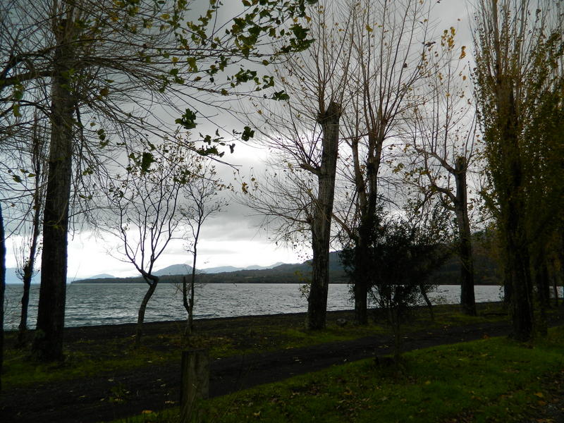 Foto: Coñaripe - Coñaripe (Región de Los Ríos), Chile