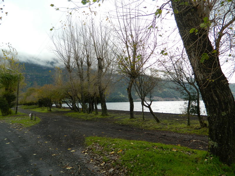 Foto: Coñaripe - Coñaripe (Región de Los Ríos), Chile