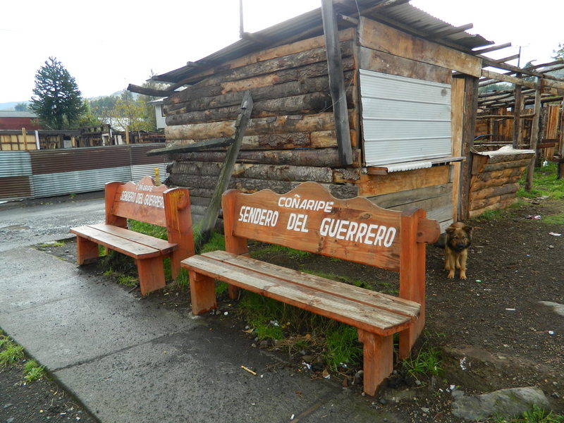 Foto: Coñaripe - Coñaripe (Región de Los Ríos), Chile