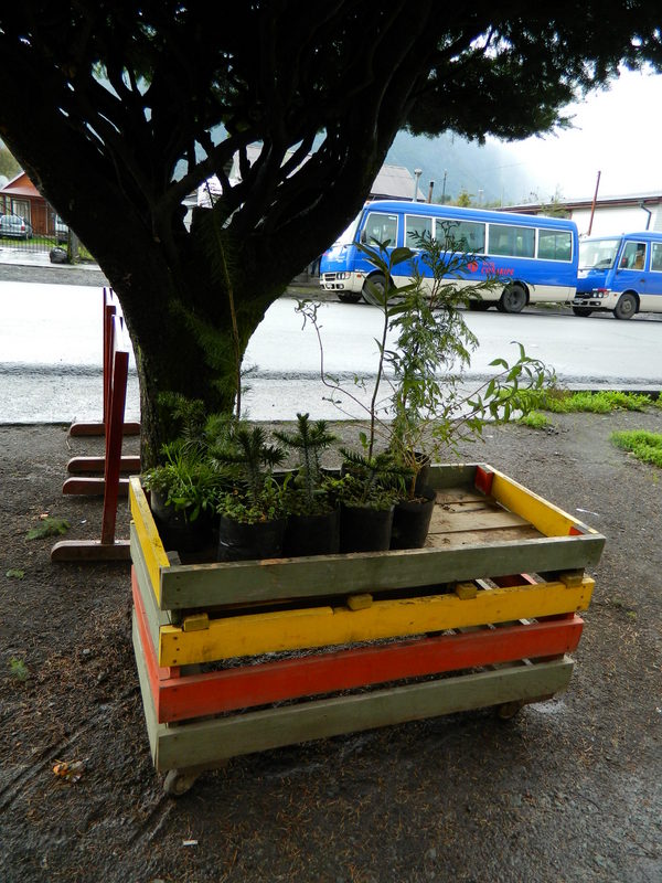 Foto: Coñaripe - Coñaripe (Región de Los Ríos), Chile