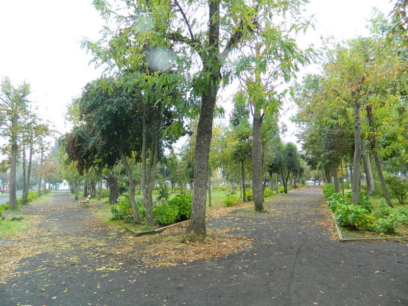 Foto: Lican Ray - Lican Ray (Araucanía), Chile