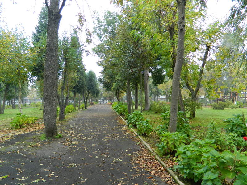 Foto: Lican Ray - Lican Ray (Araucanía), Chile