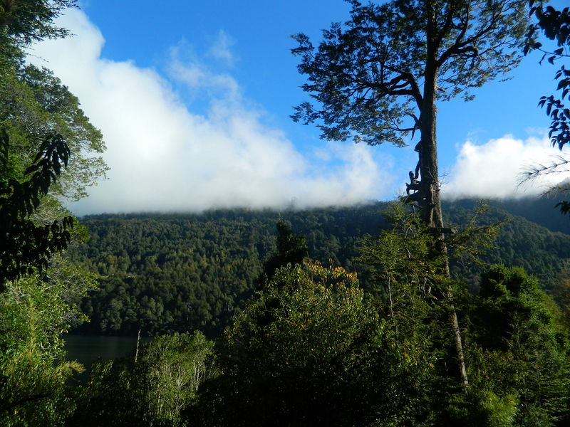 Foto: Pucon - Pucon (Araucanía), Chile