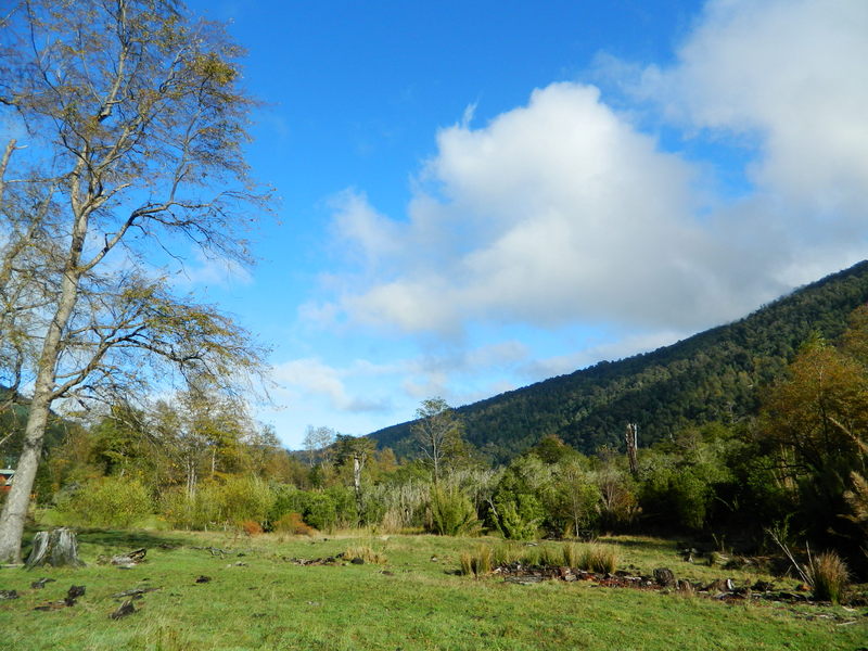 Foto: Pucon - Pucon (Araucanía), Chile