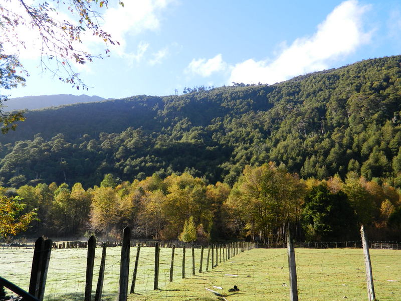 Foto: Pucon - Pucon (Araucanía), Chile