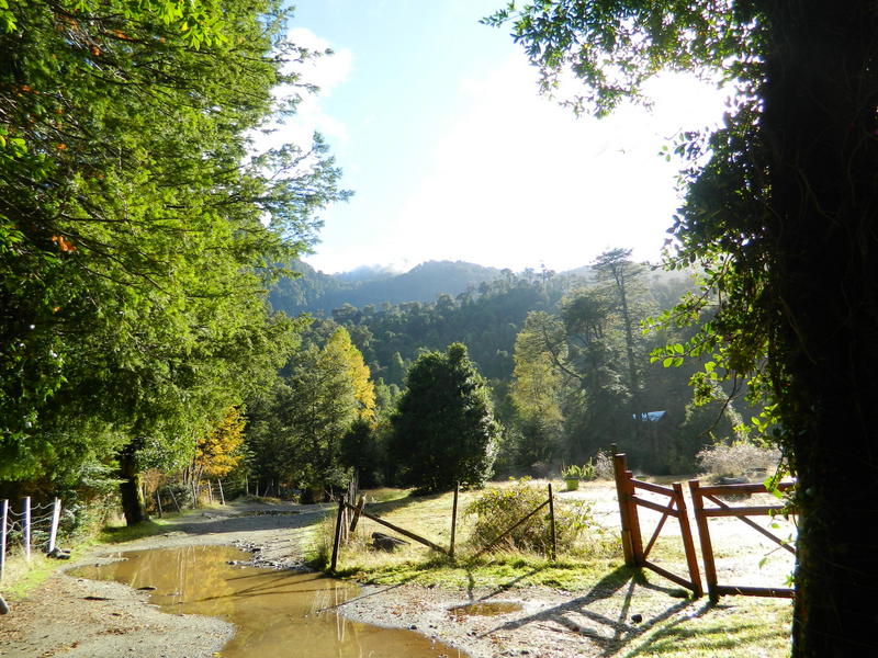 Foto: Pucon - Pucon (Araucanía), Chile