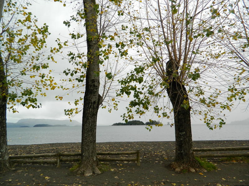 Foto: Lican Ray - Lican Ray (Araucanía), Chile