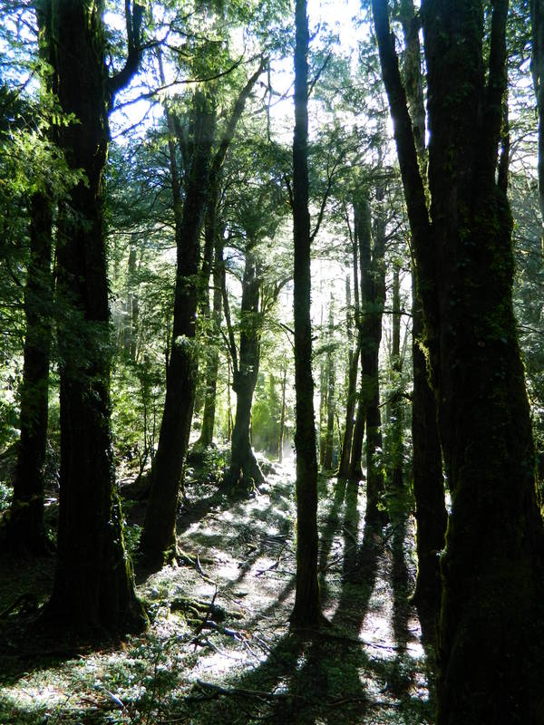 Foto: Pucon - Pucon (Araucanía), Chile