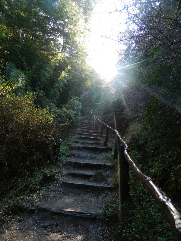 Foto: Pucon - Pucon (Araucanía), Chile
