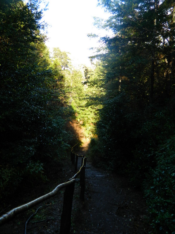 Foto: Pucon - Pucon (Araucanía), Chile