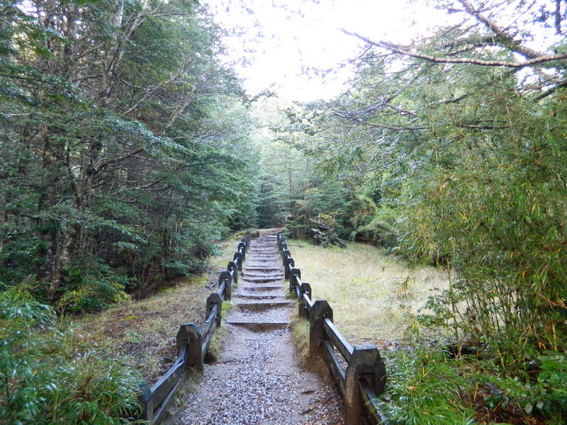 Foto: Pucon - Pucon (Araucanía), Chile