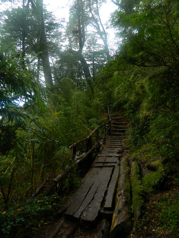 Foto: Pucon - Pucon (Araucanía), Chile