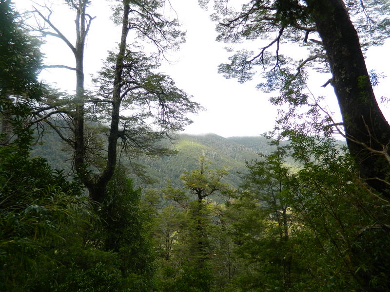 Foto: Pucon - Pucon (Araucanía), Chile