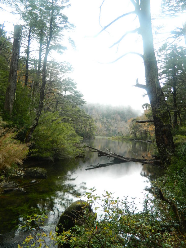 Foto: Pucon - Pucon (Araucanía), Chile