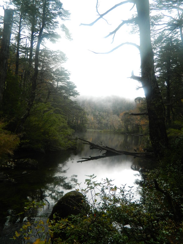 Foto: Pucon - Pucon (Araucanía), Chile