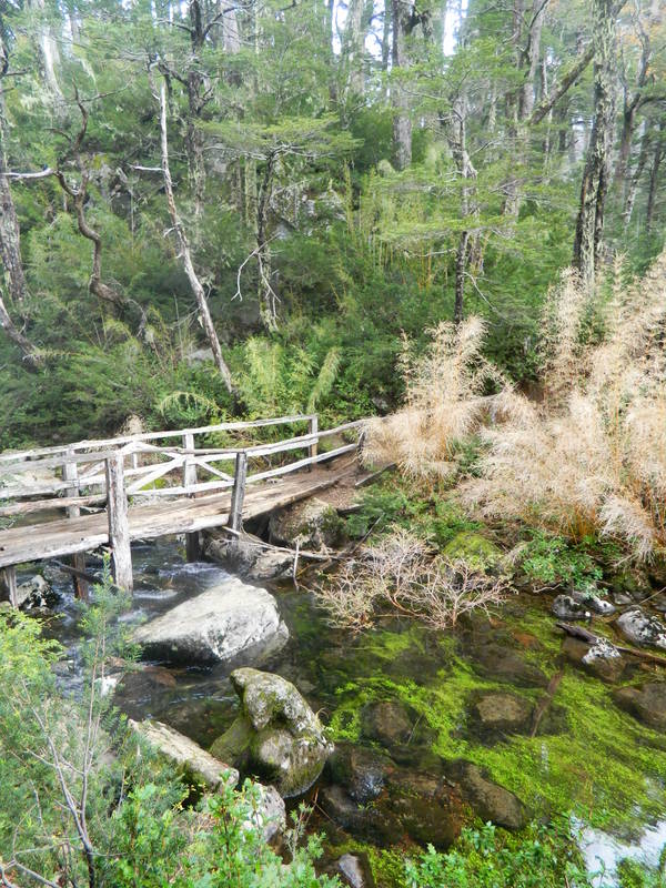 Foto: Pucon - Pucon (Araucanía), Chile