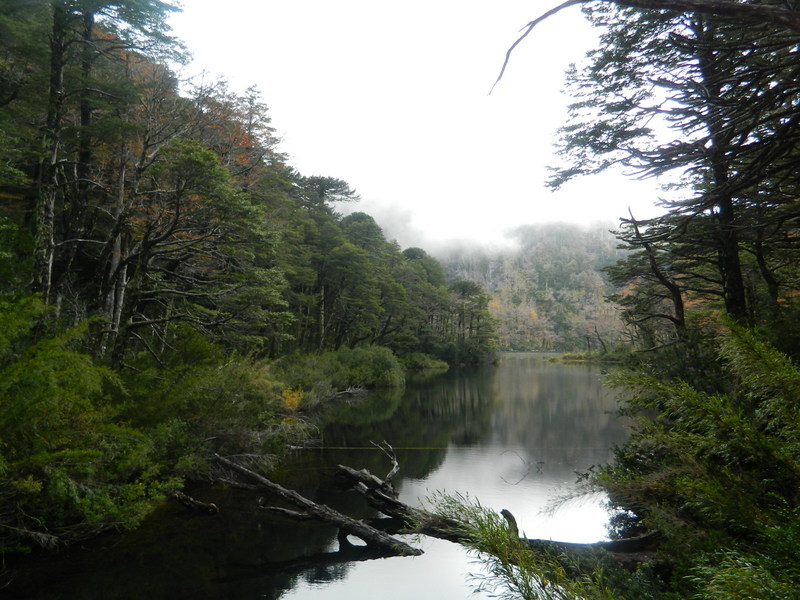 Foto: Pucon - Pucon (Araucanía), Chile