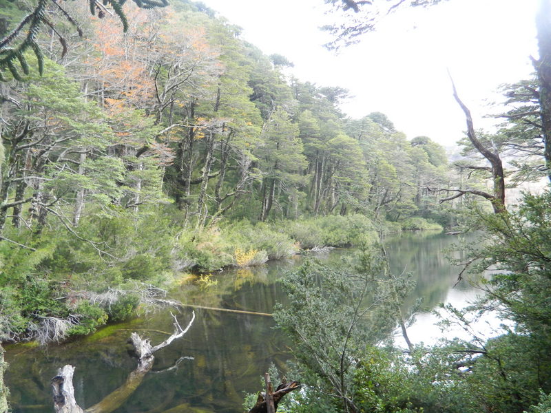 Foto: Pucon - Pucon (Araucanía), Chile