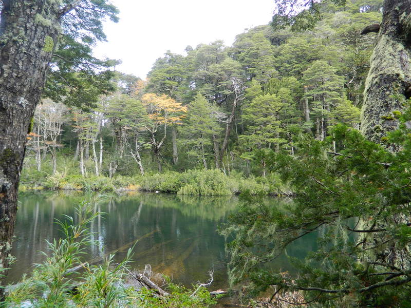 Foto: Pucon - Pucon (Araucanía), Chile