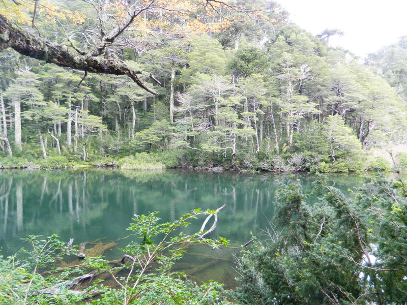 Foto: Pucon - Pucon (Araucanía), Chile