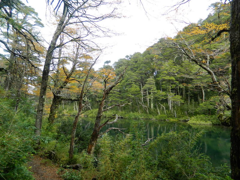 Foto: Pucon - Pucon (Araucanía), Chile