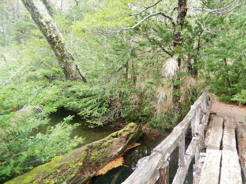 Foto: Pucon - Pucon (Araucanía), Chile